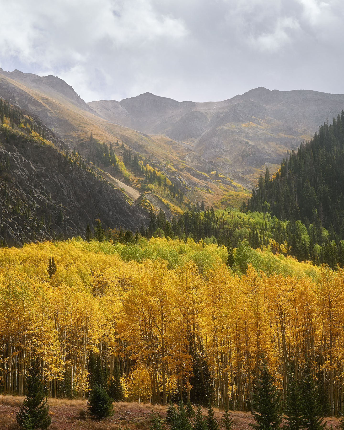 Colorado Landscape Photography, Colorado Landscape Photographer, Colorado Nature Photographers, Colorado Photography, Photos of Colorado, Mt Sneffels Colorado, Photos of Mt Sneffels, Southwest Colorado, San Juan Mountains Colorado, Fall in Colorado, Best time to photograph fall leaves in Colorado, Fall Leaves Colorado, Autumn Colorado