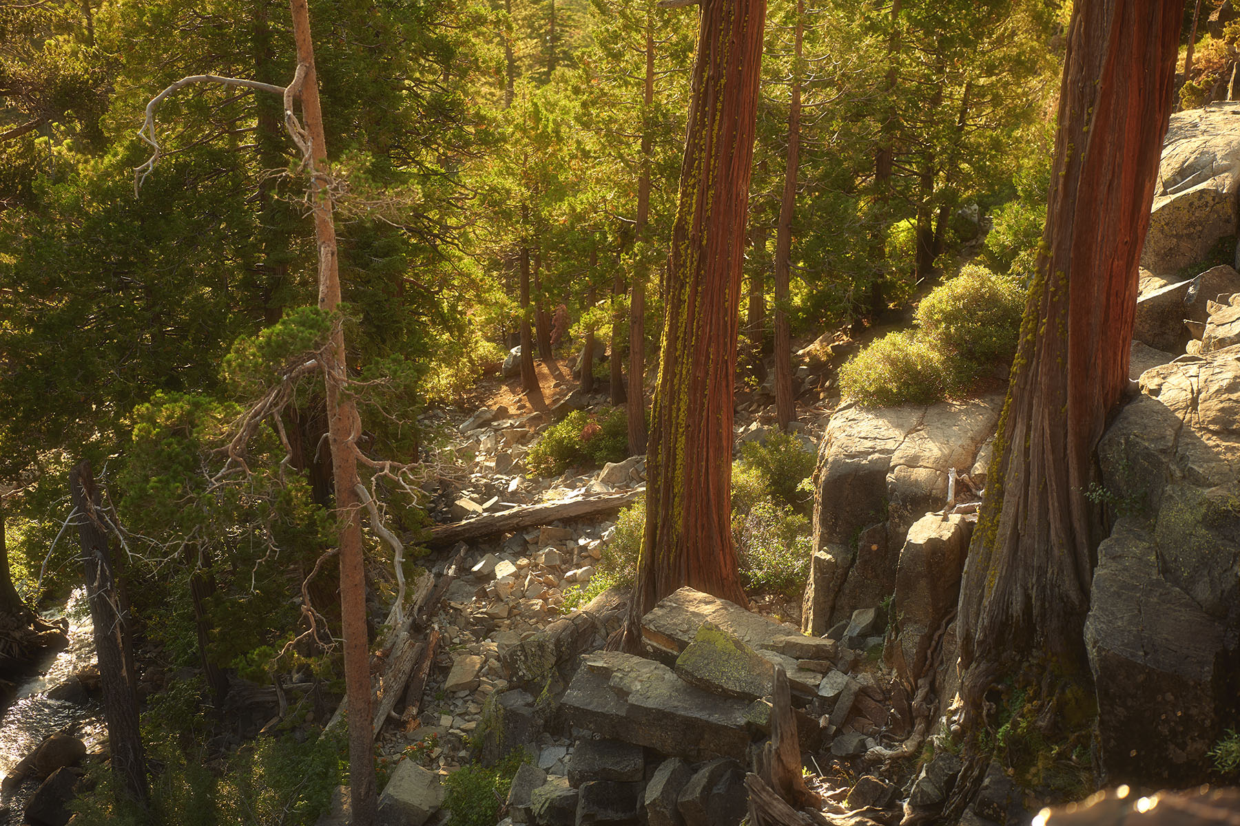 California Landscape Photography, Nevada Landscape Photography, Lake Tahoe, Lake Tahoe Landscape Photography, Lake Tahoe Photography, Sierra Nevada California, Sierra Nevada Mountains, Photos of California, Photos of Lake Tahoe