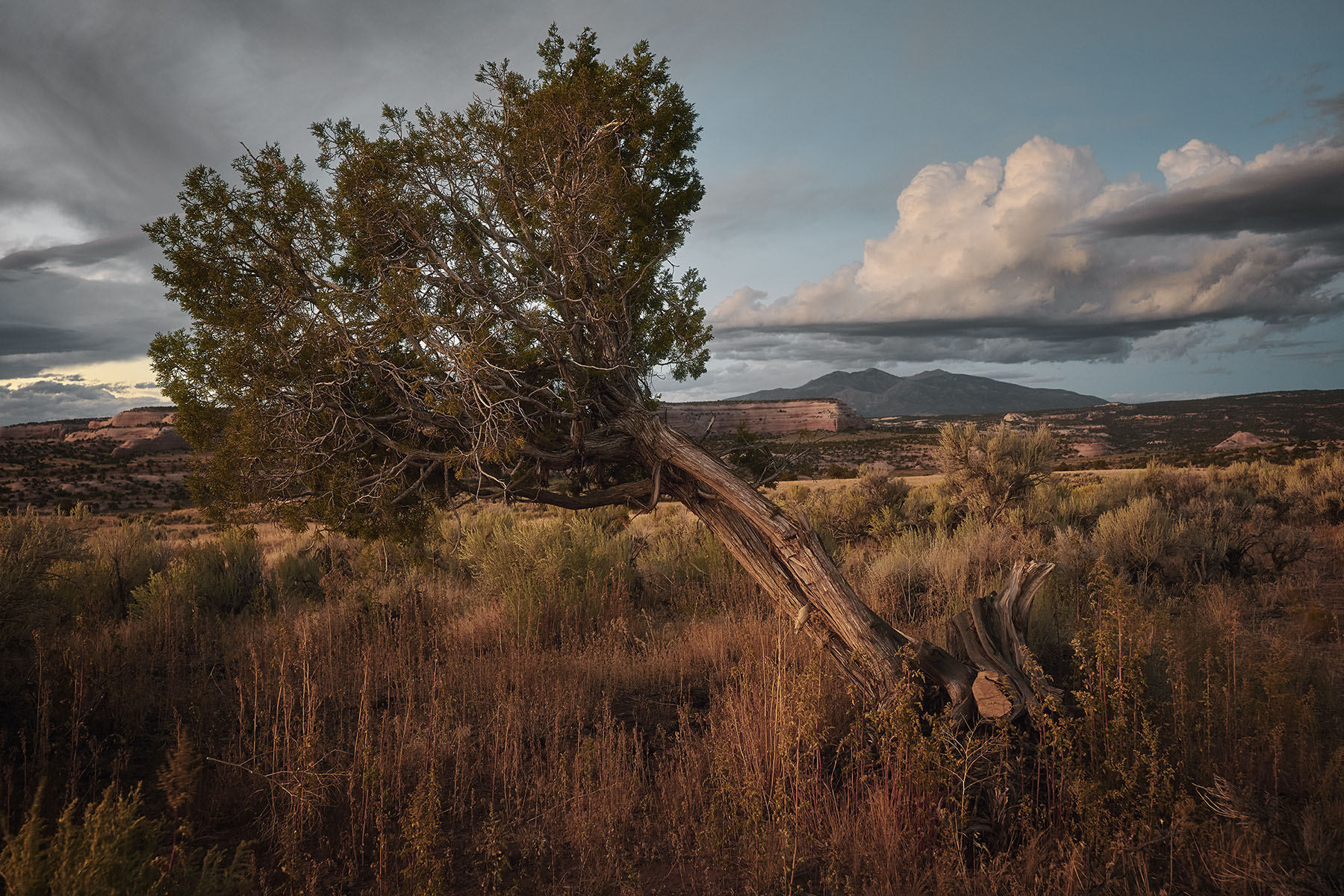 Utah Landscape Photography, Photos of Utah, Moab Utah, Vanlife, Van Camping, Vanlife in Utah, Van camping in Utah