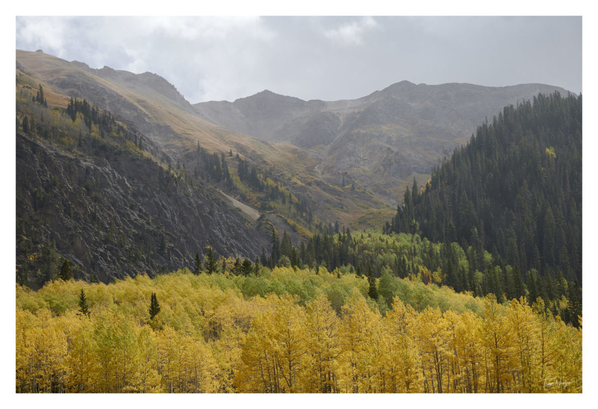 Colorado landscape photography, Rocky Mountains photos, aspen trees, Colorado photographer