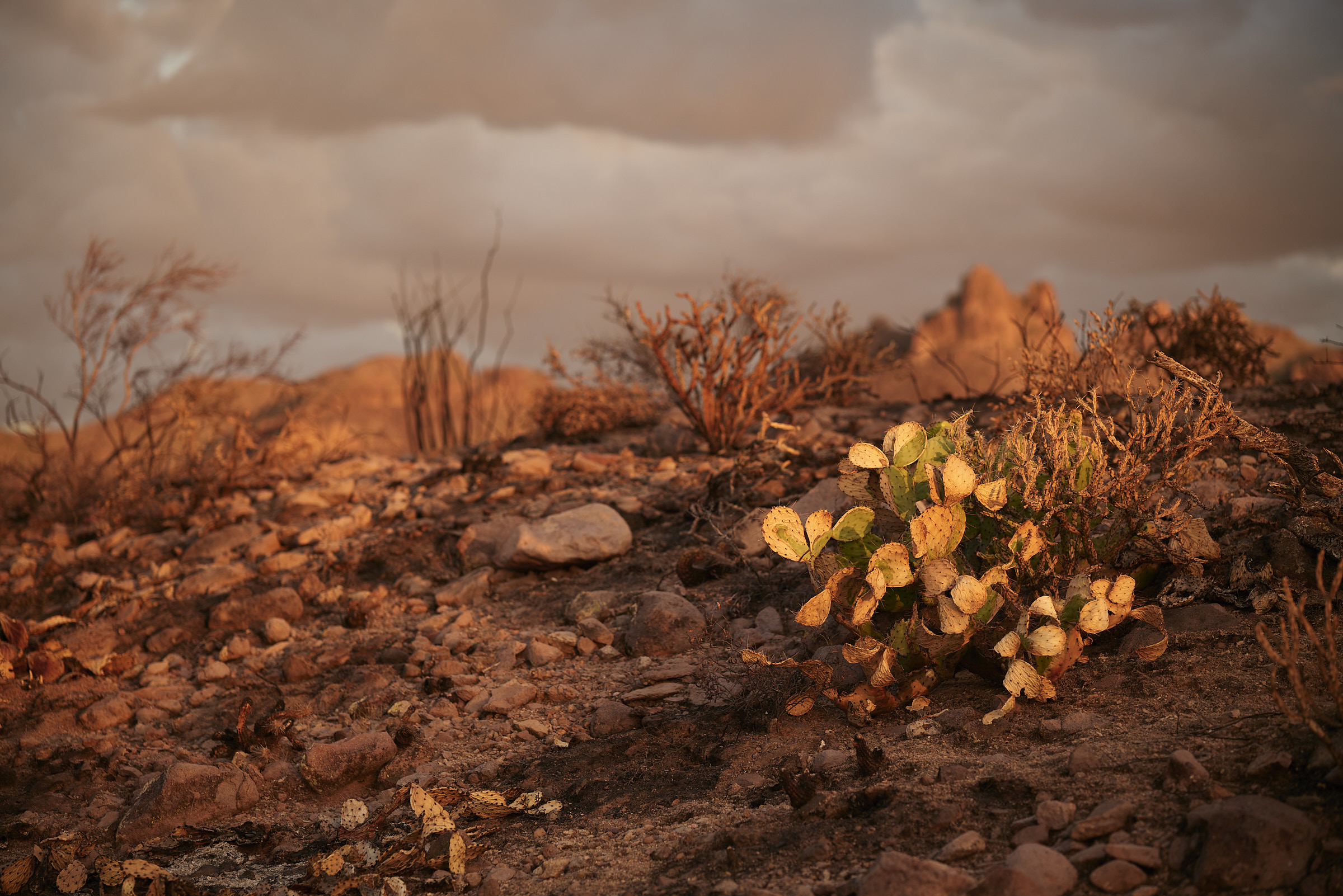 arizona landscape photography, Superstition Mountains photos, arizona photographer, Superstition Fire