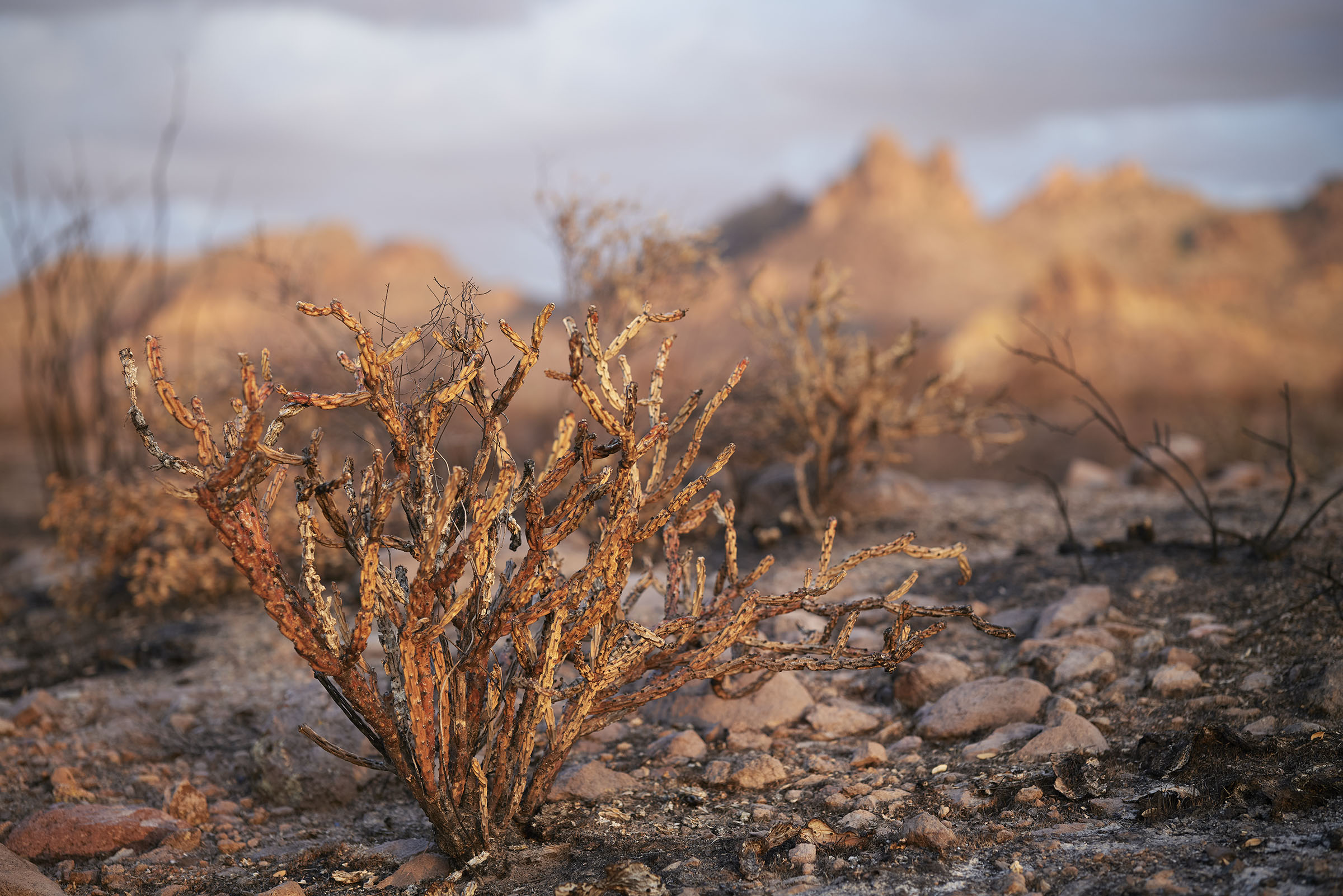 arizona landscape photography, Superstition Mountains photos, arizona photographer, Superstition Fire