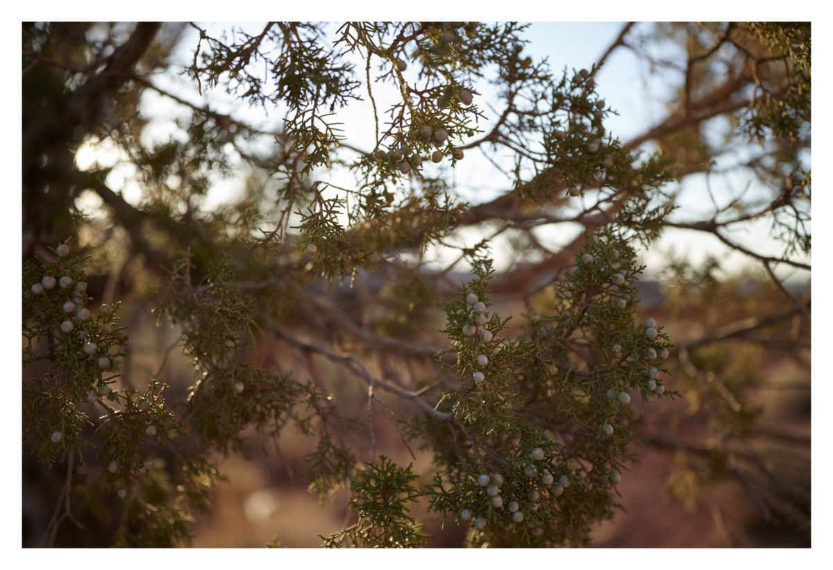 Utah landscape photography, Utah landscape photographer, landscape photographers Utah, Hanksville Utah Photography, Utah Slot Canyons, Fine Art Prints Utah Landscapes, Utah landscape prints, buy prints of Utah landscapes, Utah landscape photographers